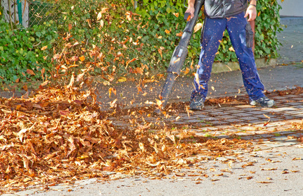 Herbstlaub sorgt für Ärger Mann entfernt mit einem Laubbläser braune Blätter vom Gehweg